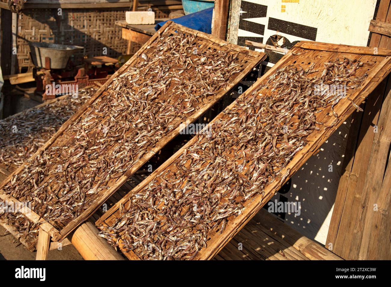 Fisch trocknet in der Sonne im Fischerdorf Indonesien Stockfoto