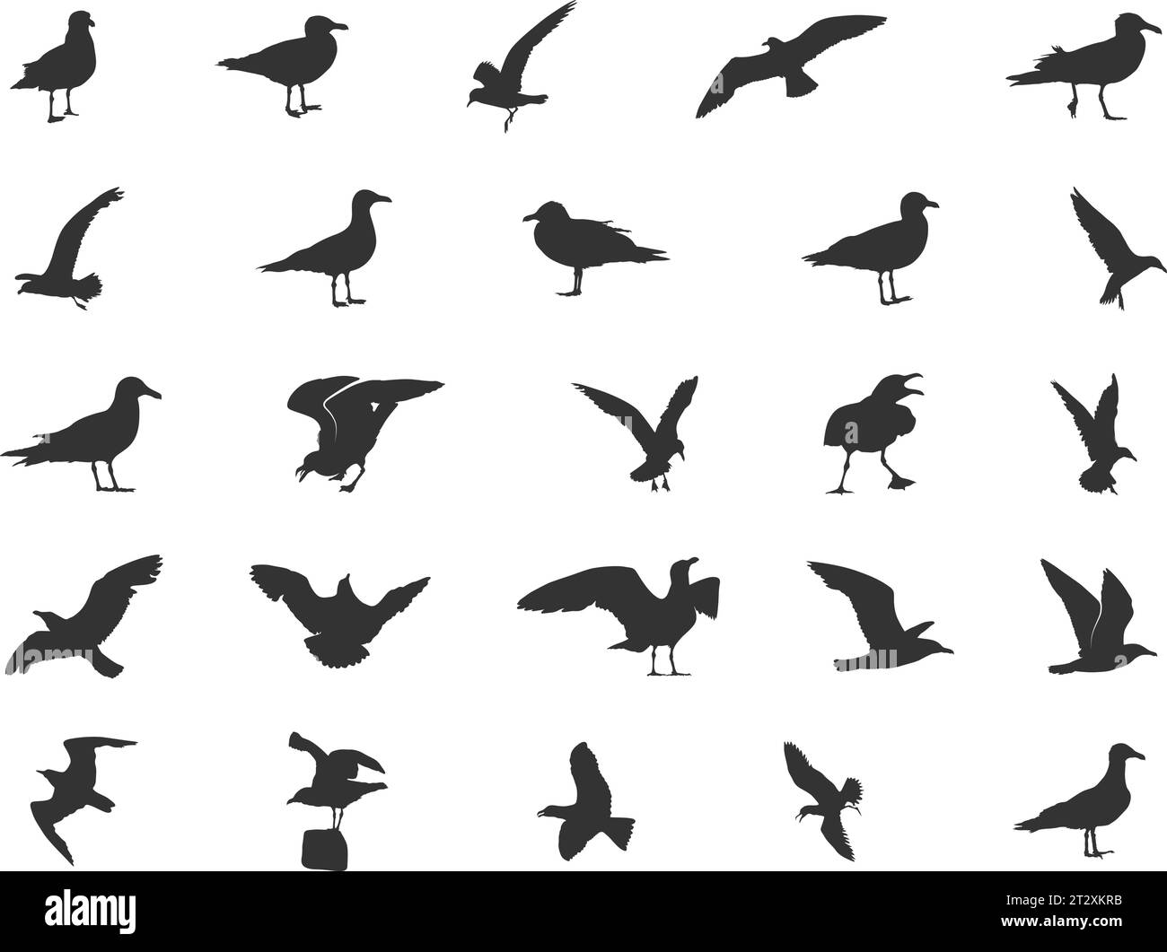 Möwe-Silhouetten, Fliegende Möwe-Silhouetten, Möwe-Vektor, Vogel-Symbol, Vogel-Silhouetten Stock Vektor