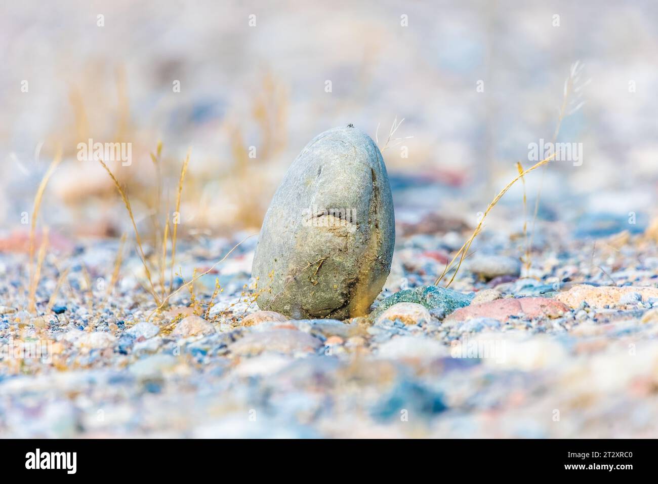 Großer Stein auf dem Hintergrund kleiner Steine Stockfoto