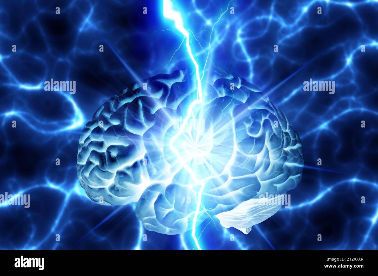 Das menschliche Gehirn als Konzept für Neurologie, Medizin und Intellekt Stockfoto