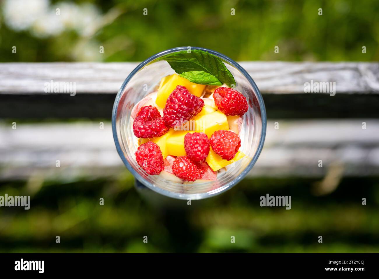 Vertikale Draufsicht auf gesunden Fruchtjoghurt mit Himbeeren, Mango und Minzblatt auf rustikalem Holzzaun und grünem, verschwommenem Hintergrund Stockfoto