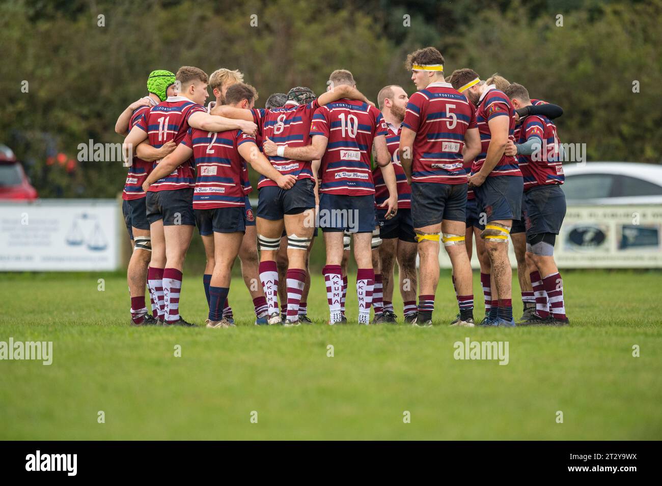 Englische Amateur-Rugby-Union-Spieler gruppierten sich in einem Vorspiel. Stockfoto