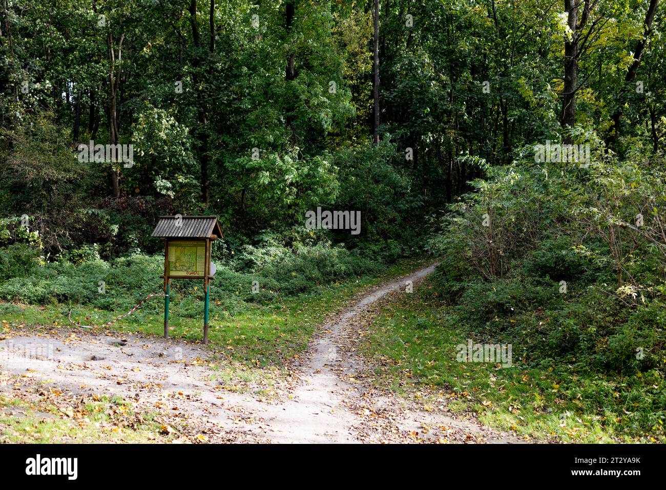 Lviv, Ukraine. Oktober 2023. In der Nähe des Tierheims Domivka befindet sich ein Park, der den Tieren eine natürliche Umgebung zur Rehabilitation bietet. Domivka Vryatovanykh Tvaryn ist ein karitatives Tierheim, das Tiere vor menschlicher Grausamkeit schützt und ihnen komfortable Bedingungen für ihr Weiterleben in einem Tierheim oder in freier Wildbahn schafft. Seit Beginn des russisch-ukrainischen Krieges im Februar 2022 ist dieses Tierheim zu einem Zufluchtsort für viele Tiere aus der Frontlinie geworden. Quelle: SOPA Images Limited/Alamy Live News Stockfoto