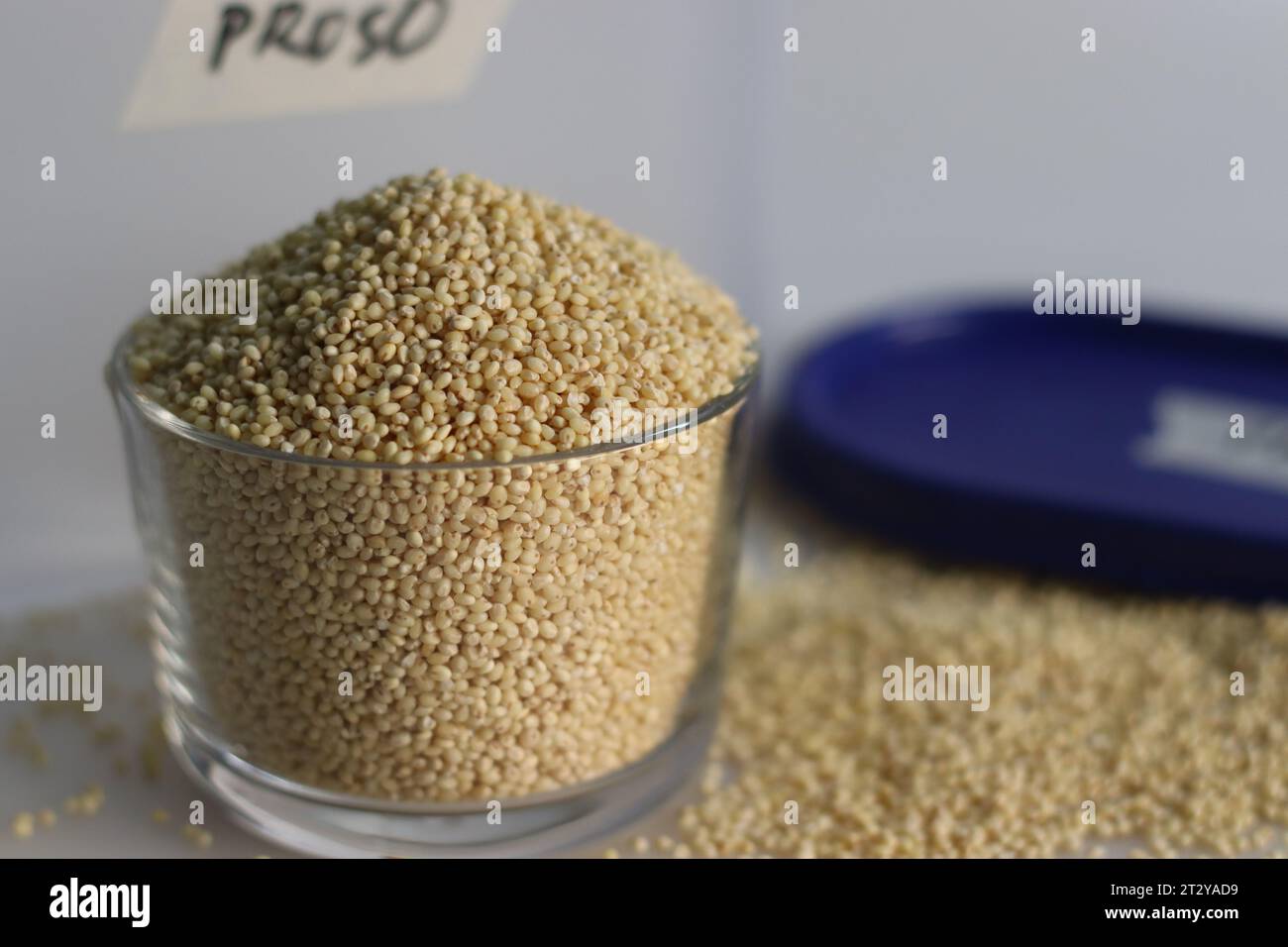 Proso Hirse, winzige runde Samen mit goldenem Farbton in einem Behälter und bis zum Rand gefüllte Glasschale. Nahrhafte, glutenfreie und vielseitige Grundnahrungsmittel, s Stockfoto