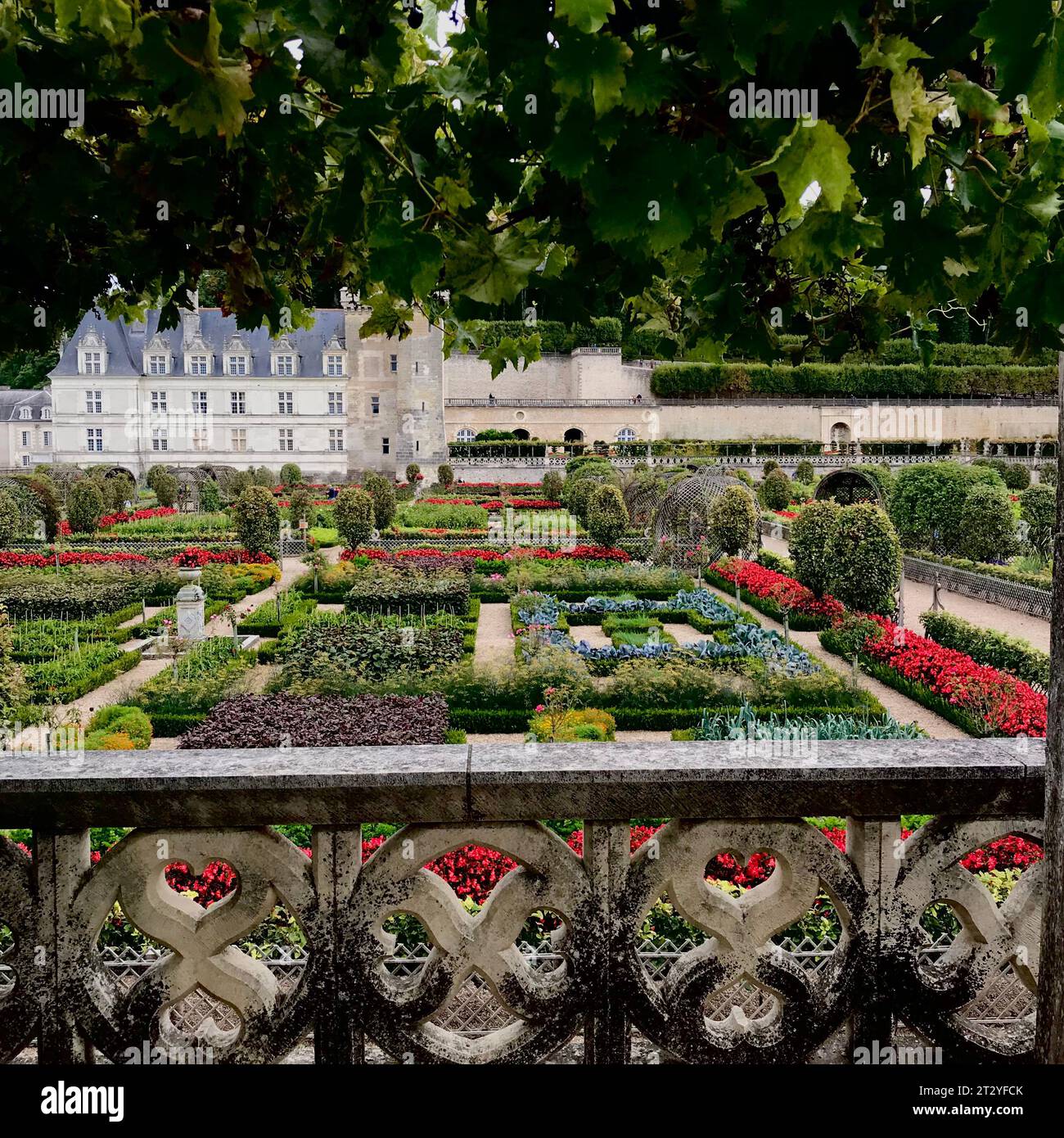 Gärten der Burg Villandry im Departement Indre-et-Loire .France 2015 vvbvanbree fotografie Stockfoto