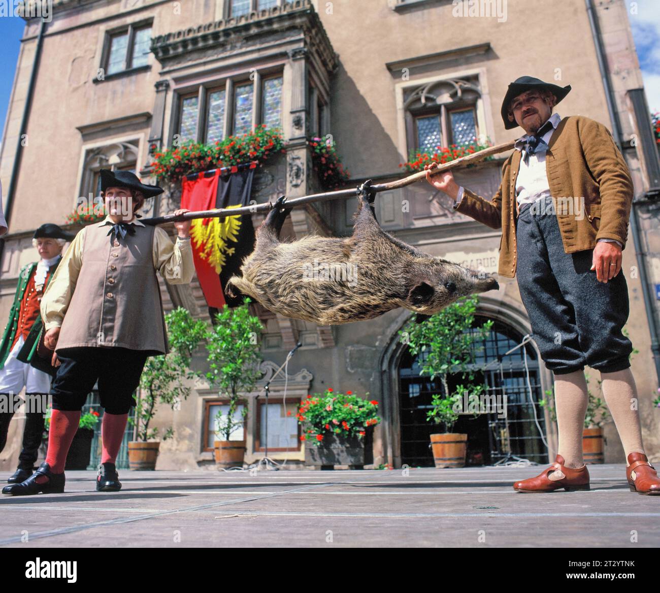 Frankreich. Elsass. Obernai Festival. Männer, die tote Wildschweine für das fest tragen. Stockfoto