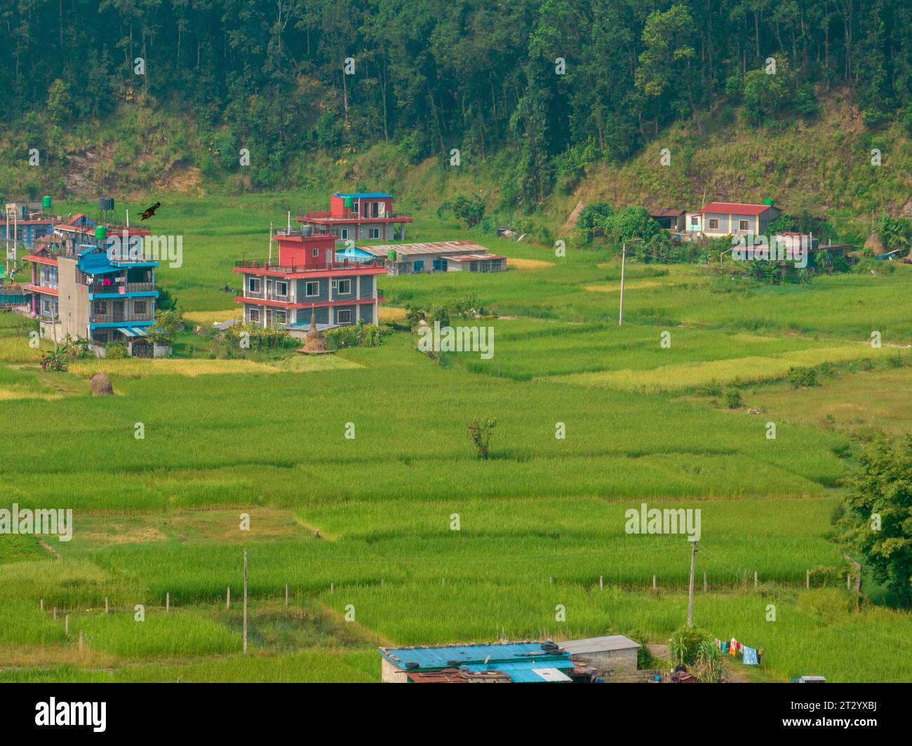 Aus der Vogelperspektive auf eine nepalesische ländliche Landschaft in der Nähe des Sees Bagnes, Reisfelder und Häuser, landwirtschaftliche Arbeiten. Lekhnath, Pokhara. Nepal. 10-7-2023 Stockfoto