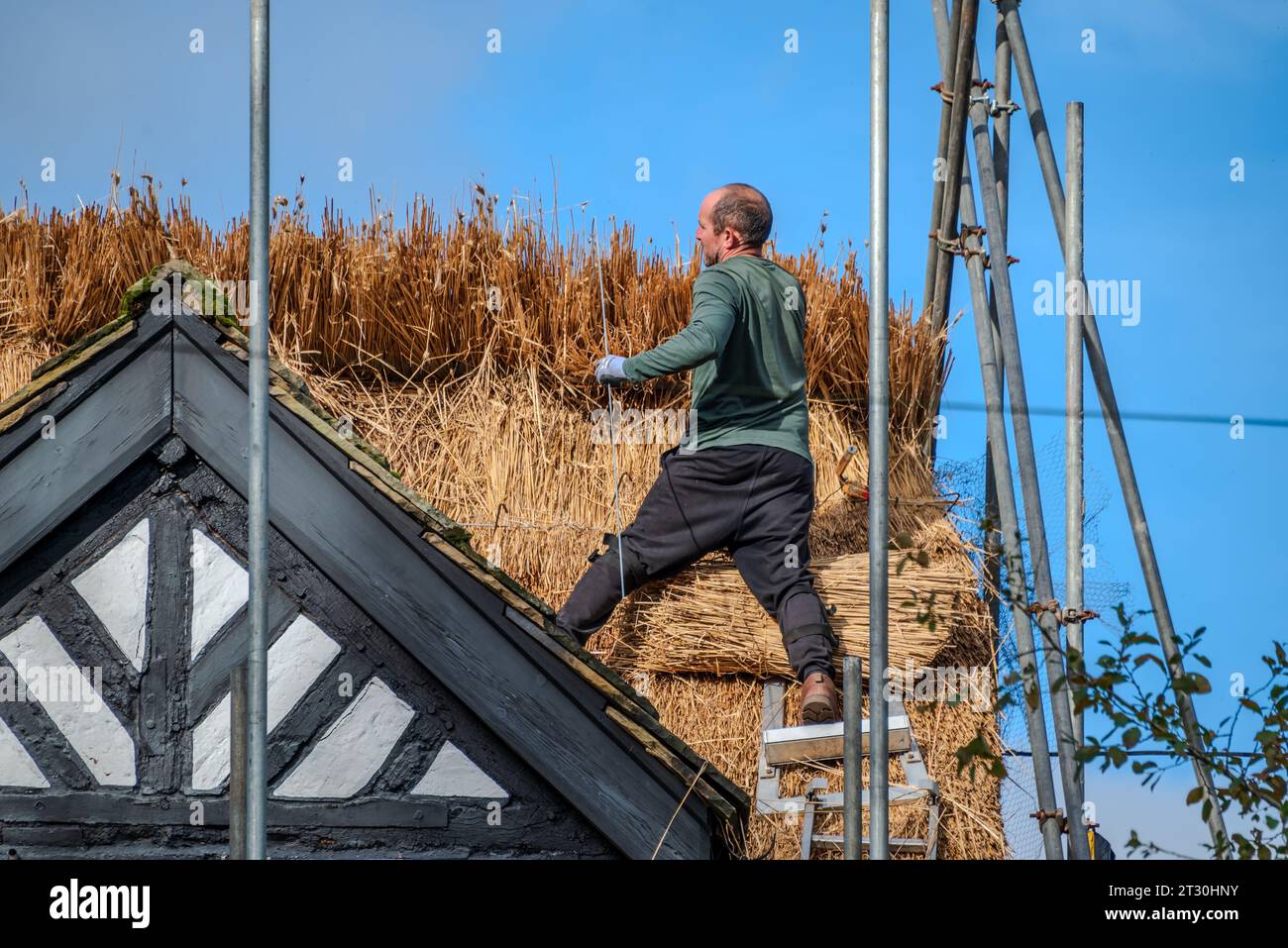 Strohhalter arbeiten auf einem neuen Strohdach. Stockfoto