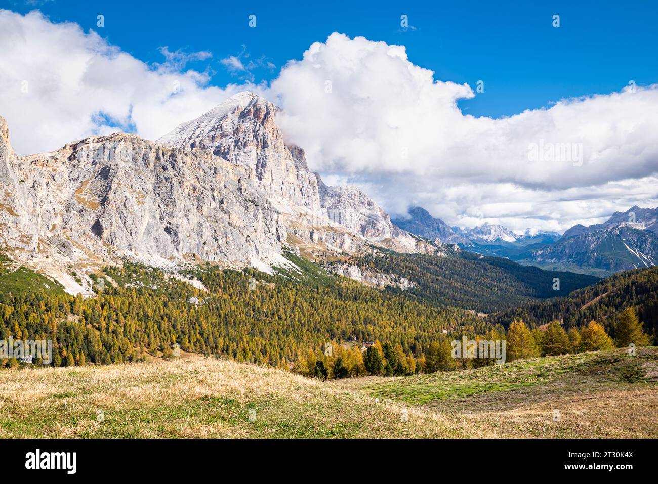 Bunte Lärchen an Berghängen in den Dolomiten Stockfoto