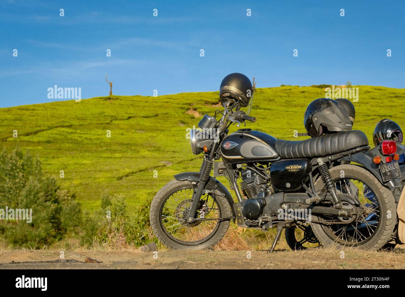 Ein markantes schwarzes Motorrad, das den üppigen indonesischen Reisfeldern gegenübersteht, fängt das Wesen einer Rocker-Reise inmitten der lebendigen Naturlandschaft ein. Stockfoto