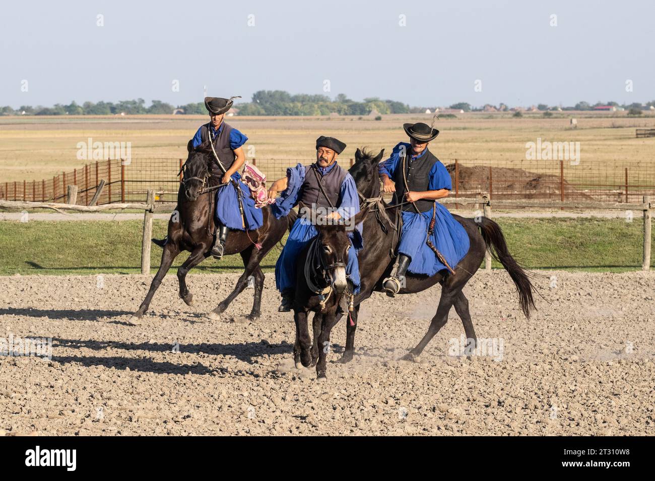 Reitspiel, Dunapataj, Puszta, Ungarn, Europa Stockfoto