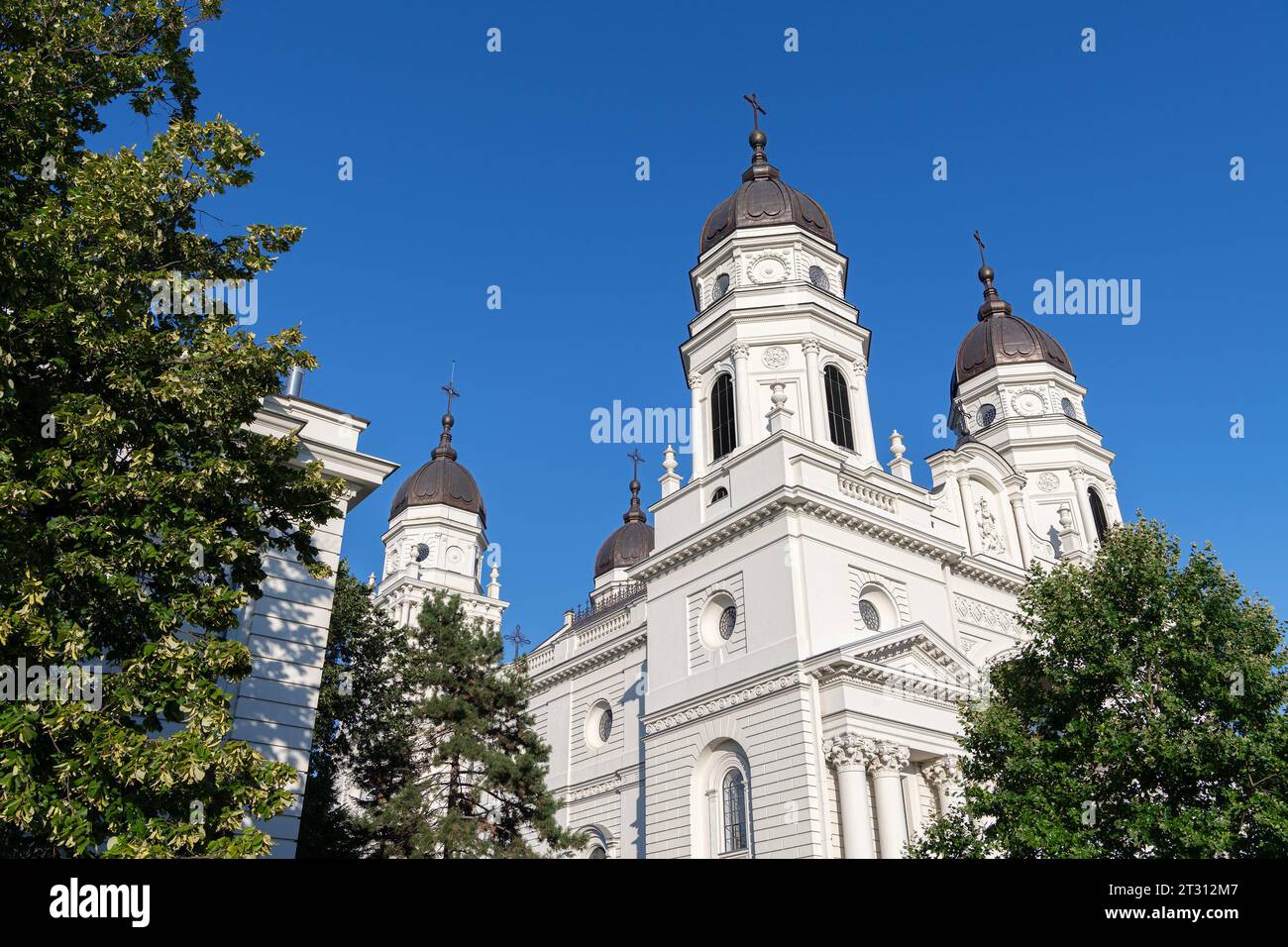 Metropolitan Cathedral in Iasi (Rumänien) Stockfoto