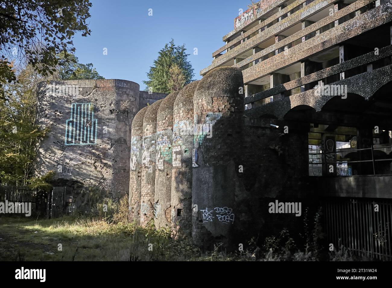 St. Peter's Semenary auf dem Anwesen Kilmahew in der Nähe von Cardross, Dumbarton, Schottland. Ein brachliegendes, brutalistisches Betongebäude in Wäldern, das mit Graffiti bedeckt ist Stockfoto