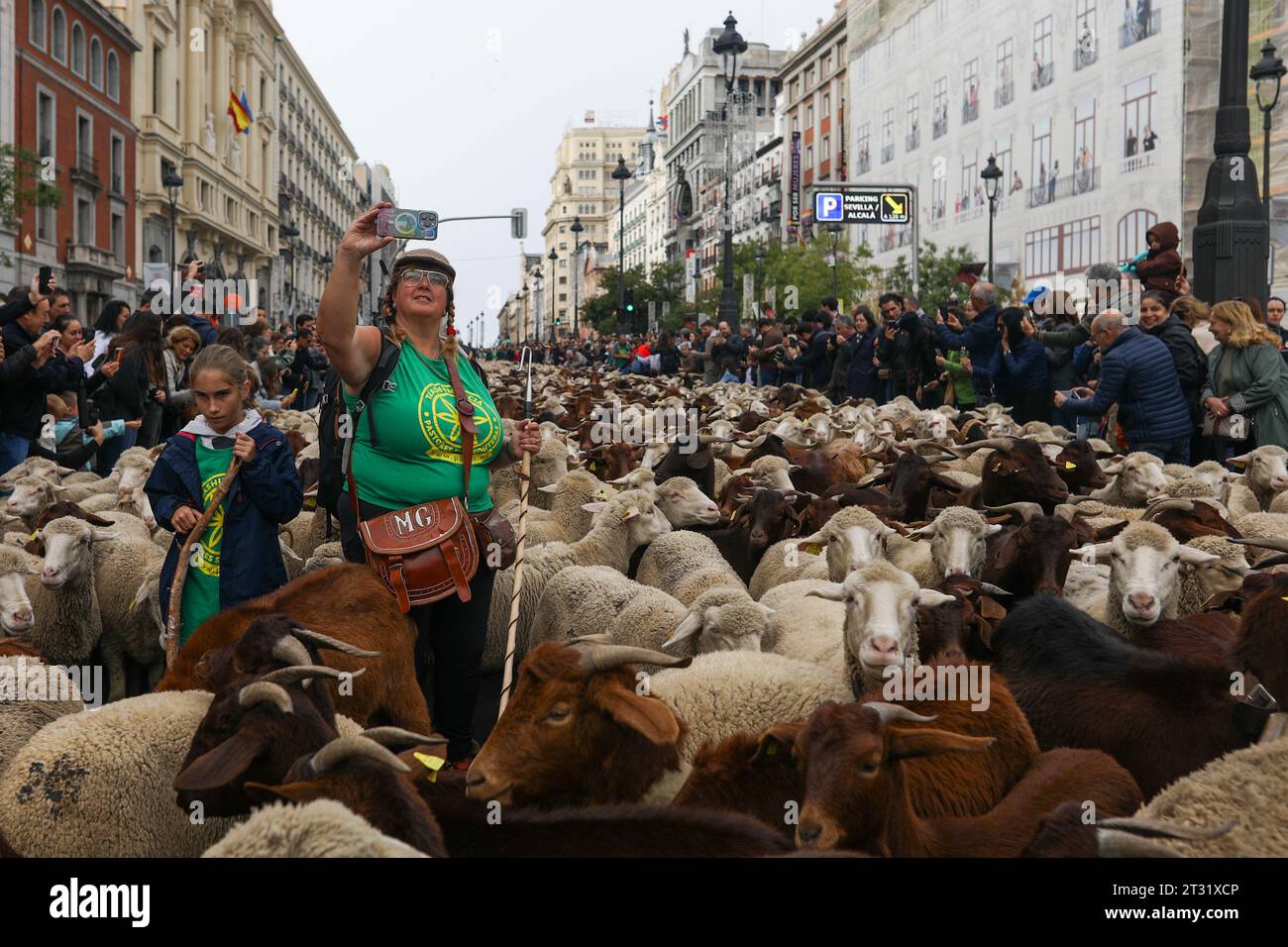 Eine Hirtin, umgeben von Schafen, macht ein Selfie mit ihrem Handy während des Wanderfestes im Zentrum von Madrid. Ein weiteres Jahr überquerten die Schafe das Zentrum von Madrid in einer neuen Ausgabe des Transhumance Festivals. Das Festival wird seit 1994 gefeiert und füllt die Hauptschlagadern der spanischen Hauptstadt mit Schafen, um eine umfangreiche Tierhaltung als Instrument zur Erhaltung der biologischen Vielfalt und zur Bekämpfung des Klimawandels zu rechtfertigen. In diesem Jahr sind etwa 1.100 Schafe durch das Zentrum der Hauptstadt gezogen. Stockfoto