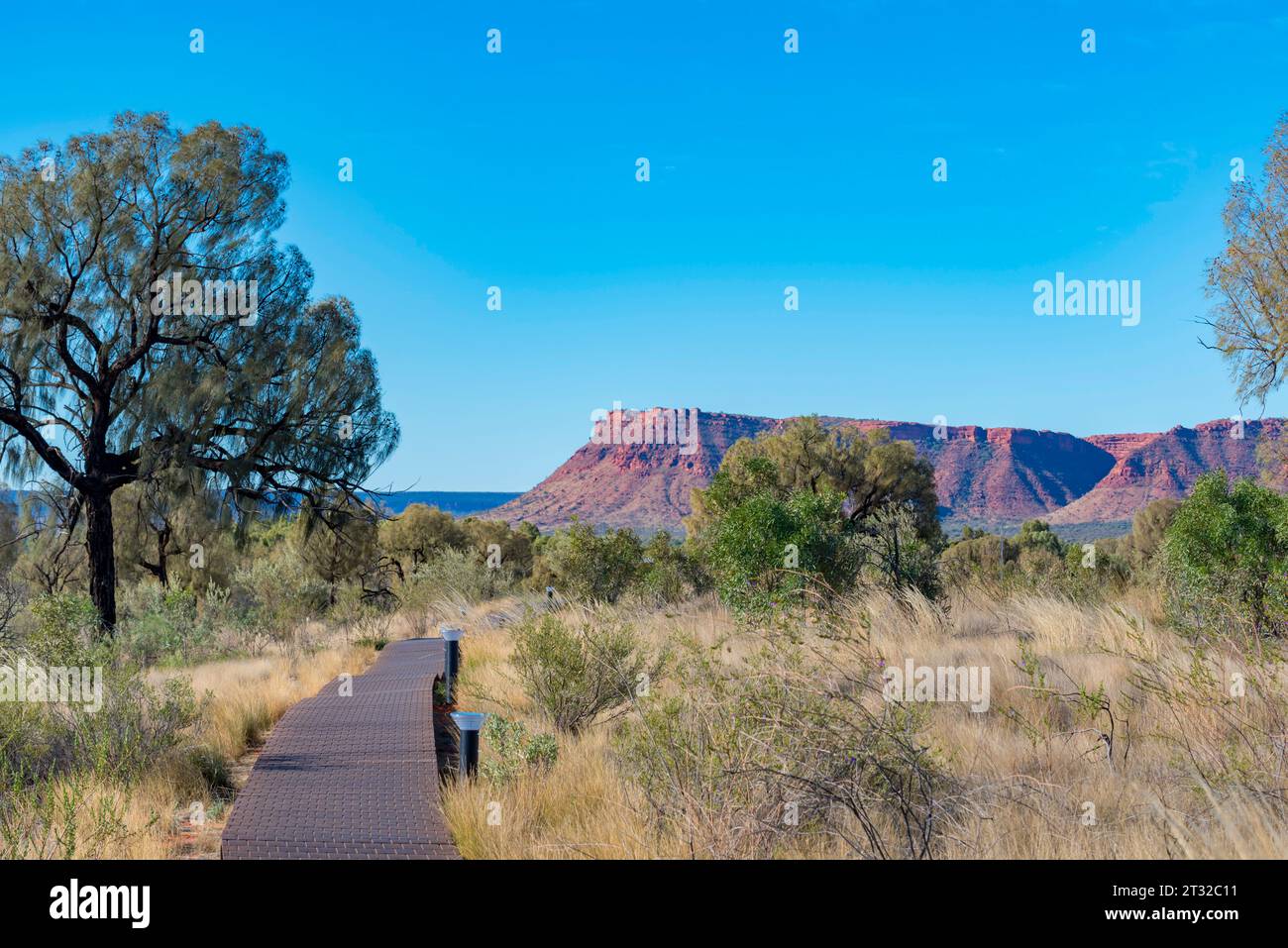 Eine erhöhte Promenade zum Schutz der einheimischen Gräser und Vegetation in der Nähe des Kings Canyon (Watarrka) Resort im Northern Territory von Australien Stockfoto
