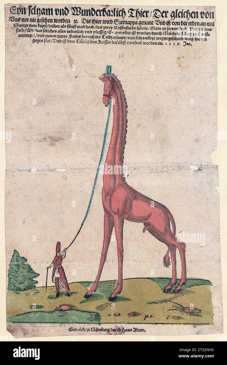 Hans Adam, Giraffe, gedruckt in Nürnberg, Holzschnitt einer Originalzeichnung von Melchior Lorck, der das Tier 1559 in Konstantinopel gesehen hatte. Stockfoto