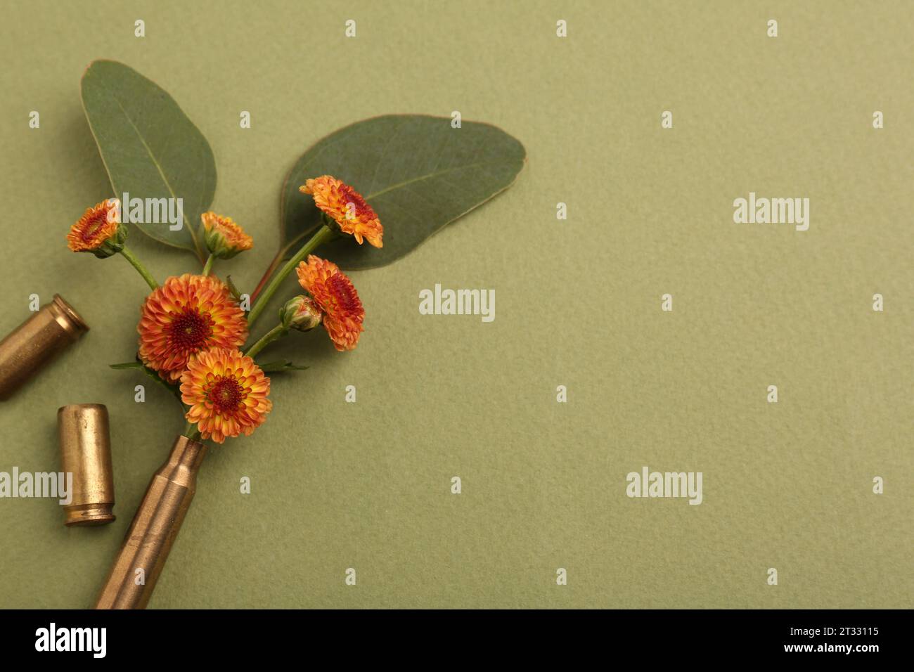 Schöne Blumen und Kugeln auf grünem Hintergrund, oben. Leerzeichen für Text Stockfoto