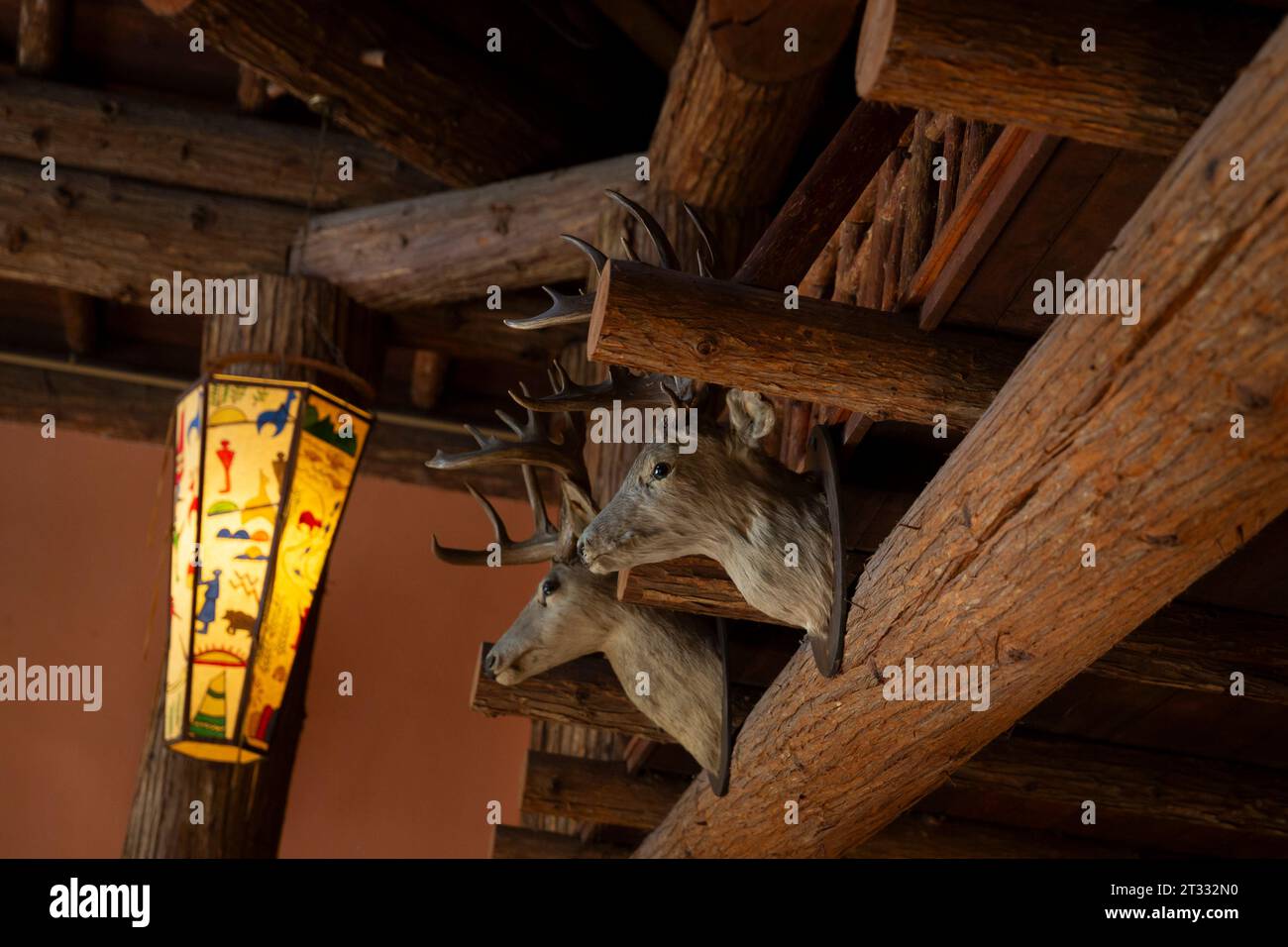 Innenausstattung der historischen Lake McDonald Lodge im Glacier National Park, Montana. Stockfoto