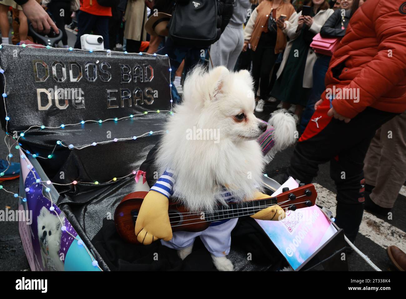 Dodo’s Bad Dog Ears ist ein kleiner Kerl in einem Wagen mit Gitarre für ...