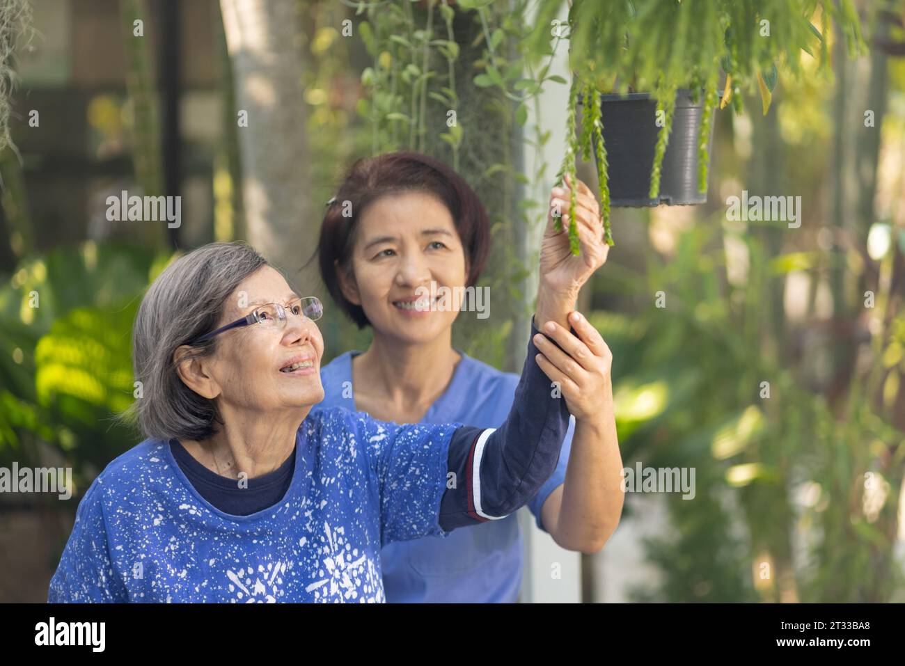 Gartentherapie in der Demenzbehandlung älterer Frauen. Stockfoto