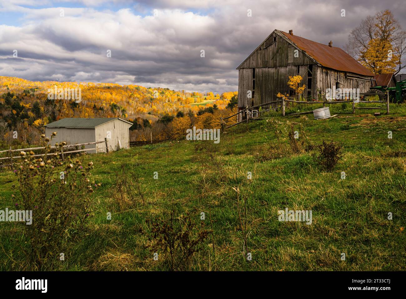 Rowlee Farm Lesen, Vermont, USA Stockfoto