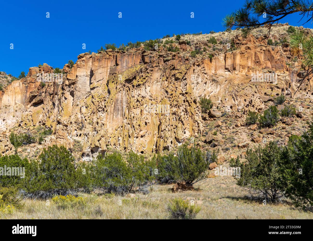 Bandelier National Monument in der Nähe von Los Alamos, New Mexico. Das Denkmal bewahrt die Häuser und das Territorium der angestammten Puebloans Stockfoto