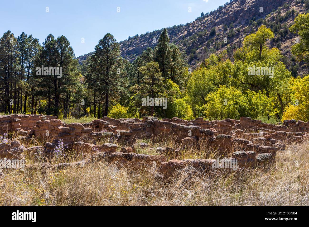 Bandelier National Monument in der Nähe von Los Alamos, New Mexico. Das Denkmal bewahrt die Häuser und das Territorium der angestammten Puebloans Stockfoto