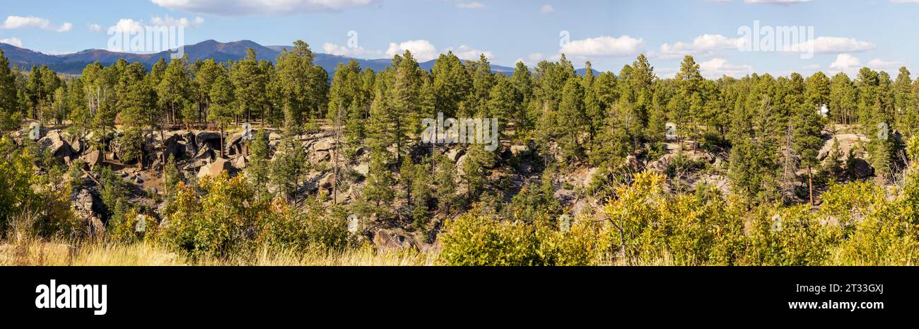 Die Farben des Herbstes. Malerische Landschaft in New Mexico Stockfoto