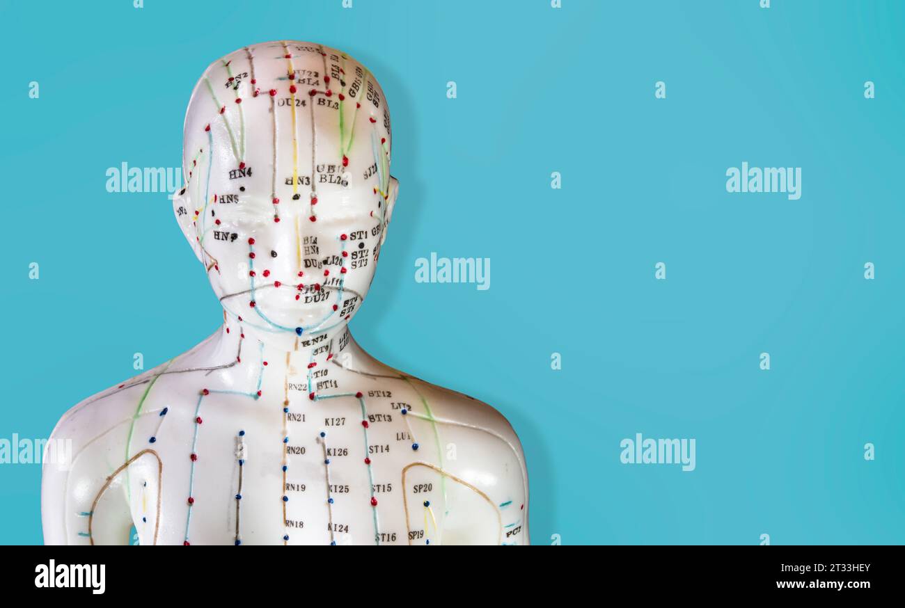 Nahaufnahme einer Schaufensterpuppe mit Meridianen und Akupunkturpunkten auf blauem Hintergrund. Stockfoto