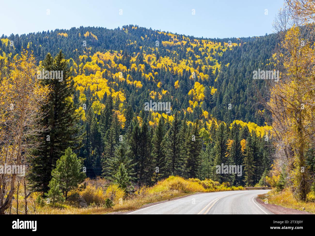 Die Farben des Herbstes. Malerische Landschaft in New Mexico Stockfoto