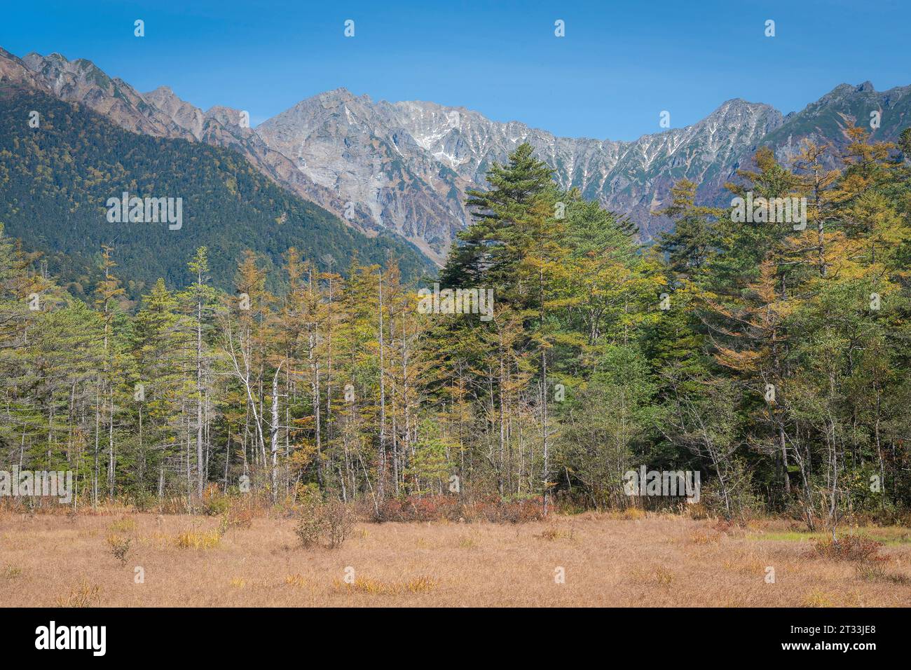 Herbstlicher Hintergrund der Berglandschaft Stockfoto