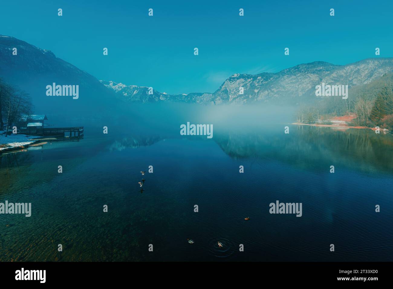 Die Landschaft des Bohinjsees am Wintermorgen, Nebel über sauberem Gletscherwasser im slowenischen Nationalpark Triglav und berühmtem Reiseziel Stockfoto