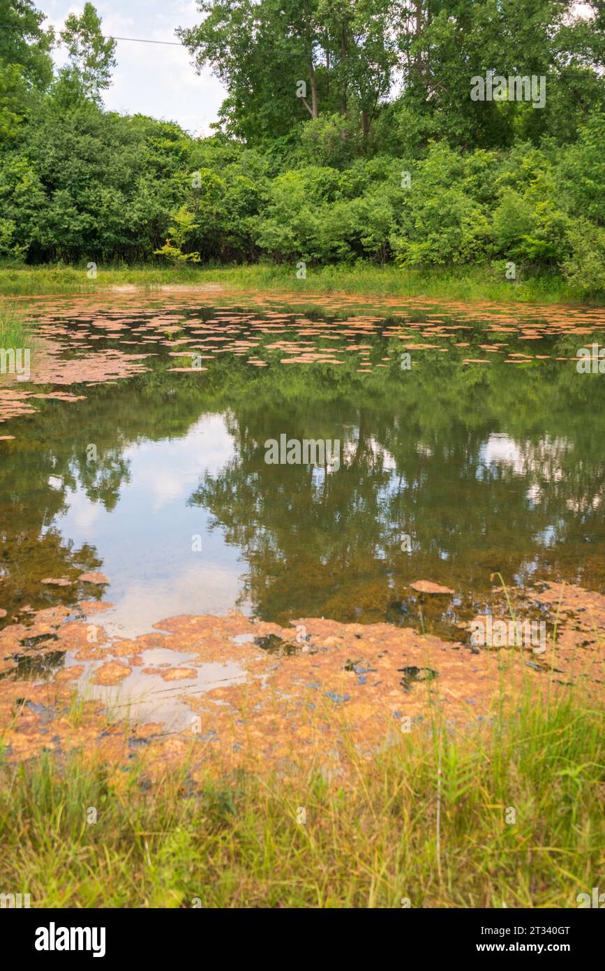 Der Harriett Tubman National Historical Park in Auburn New York Stockfoto