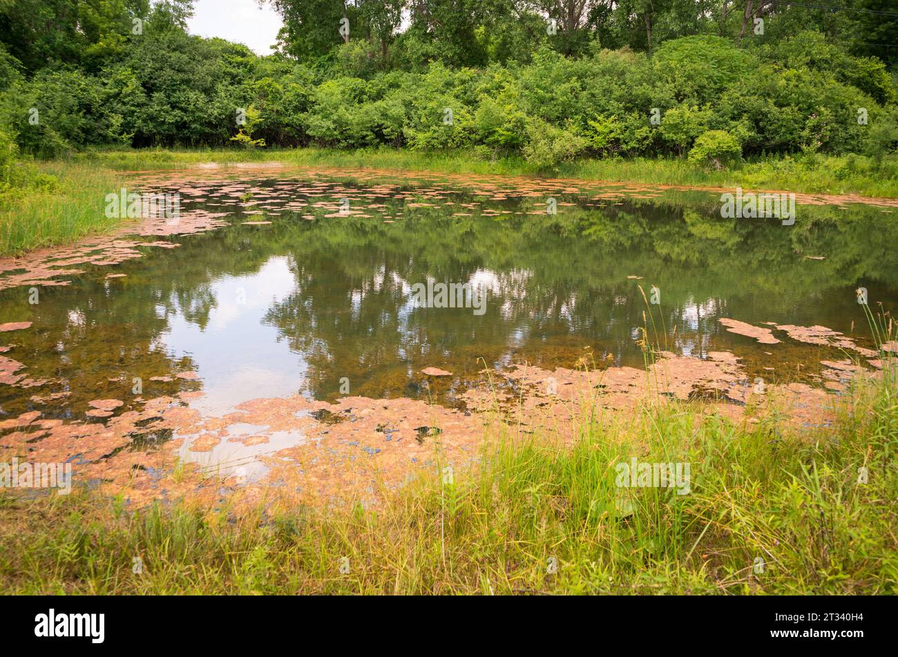 Der Harriett Tubman National Historical Park in Auburn New York Stockfoto