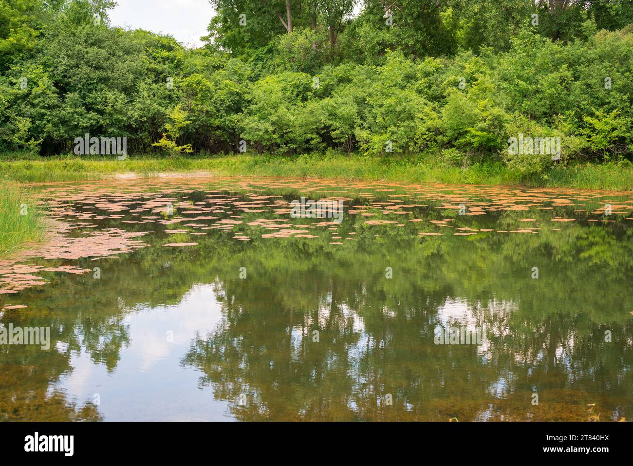 Der Harriett Tubman National Historical Park in Auburn New York Stockfoto