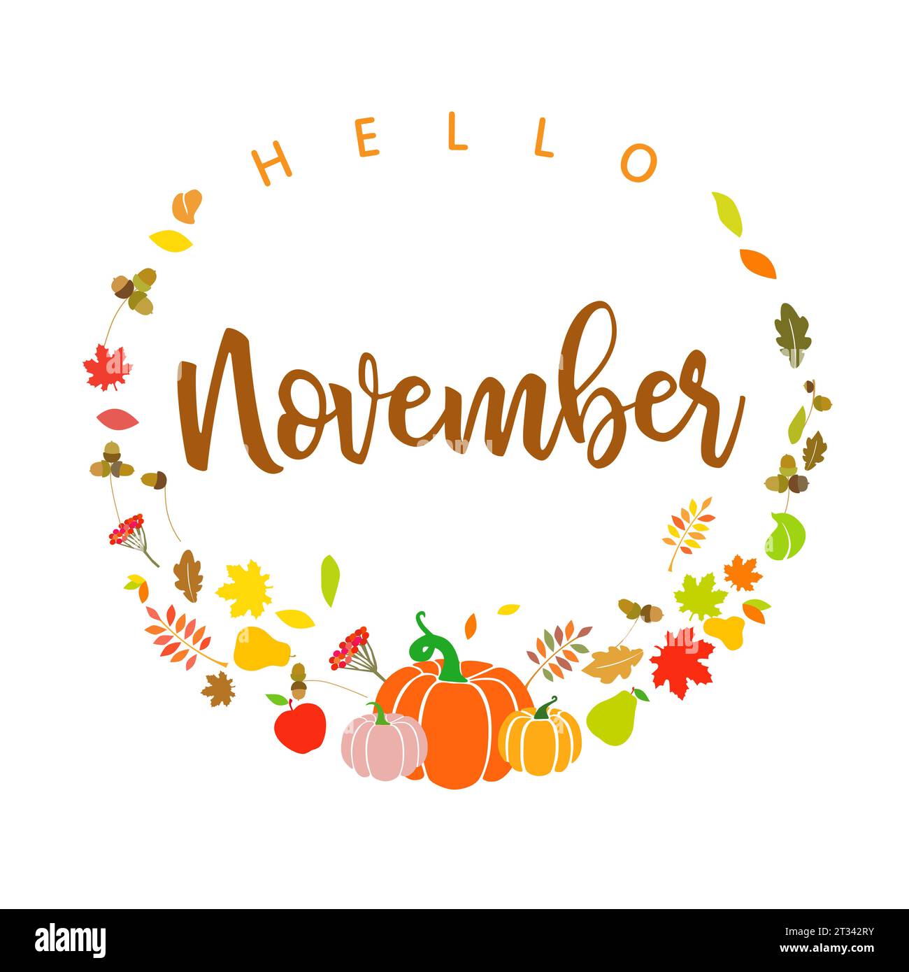 Hallo November Social-Media-Post. Grußkartendesign. Internet-Banner. Isolierte Elemente. Herbstfrüchte und -Pflanzen, rote, gelbe und orangene Blätter. Stock Vektor