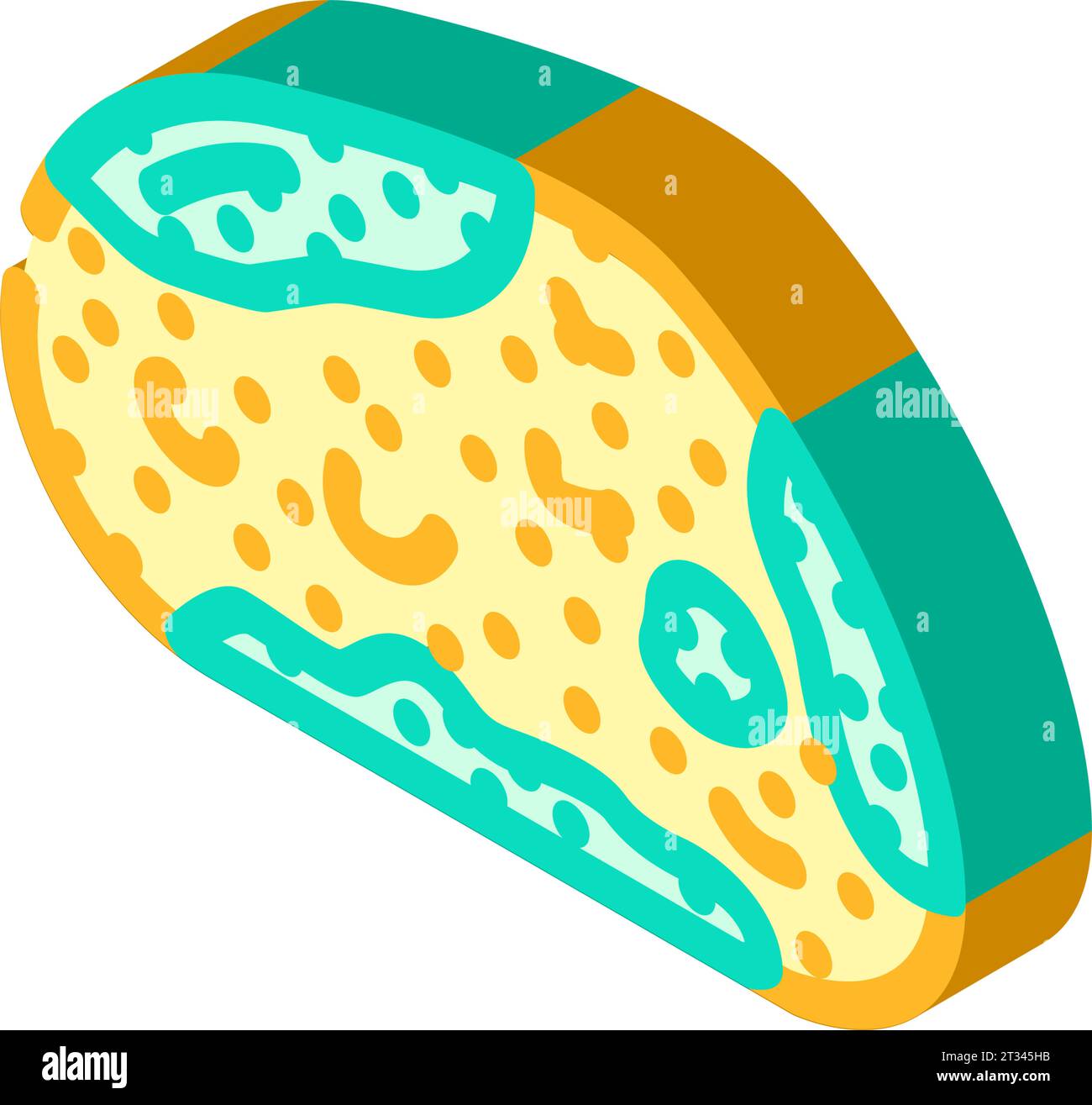 Brot verfaulte Lebensmittel isometrische Symbol Vektor-Illustration Stock Vektor