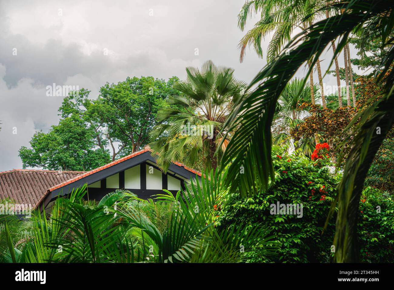Singapur Botanischer Garten Stockfoto