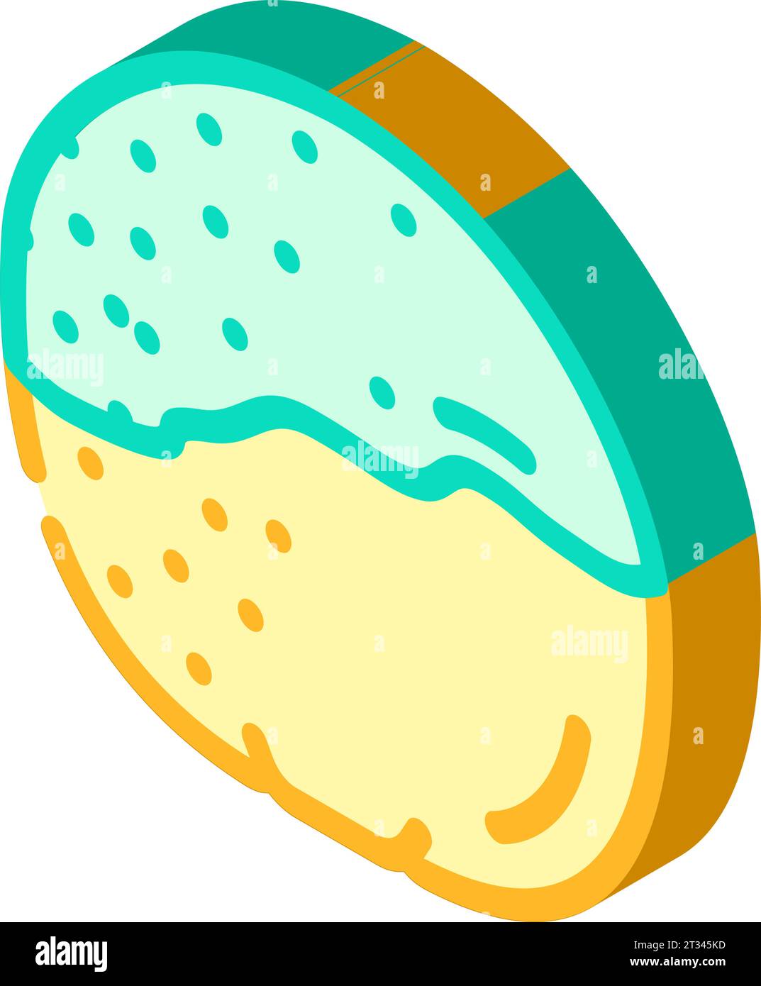 Orangefarbene verfaulte Lebensmittel isometrische Icon Vektor-Illustration Stock Vektor