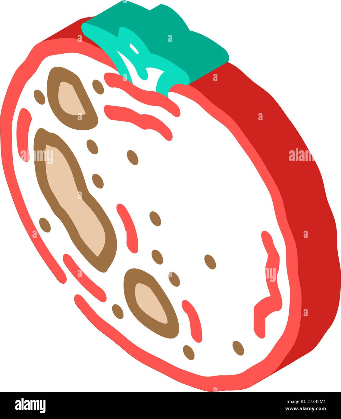 Tomate Rotten Food isometrische Icon Vektor Illustration Stock Vektor