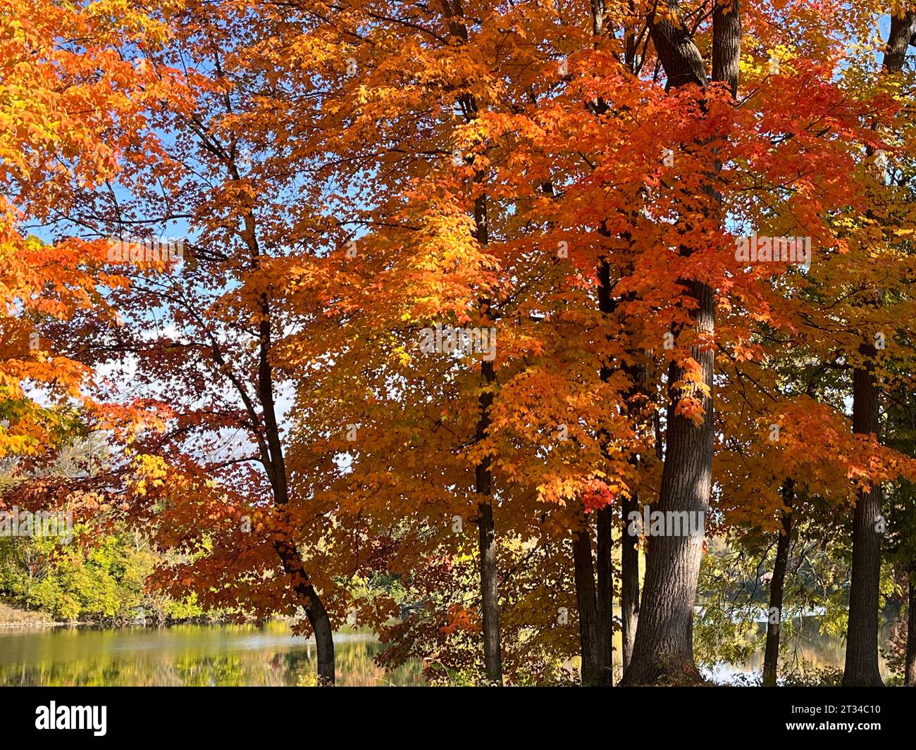 Leuchtende Herbstfarben am See Stockfoto
