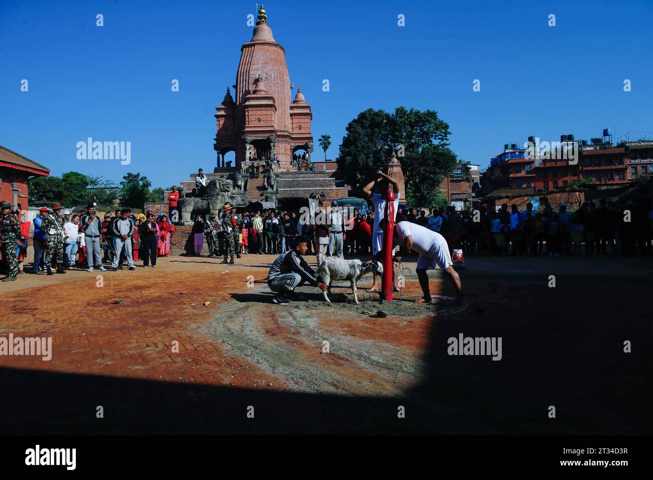 Bhaktapur, Nepal. Oktober 2023. Die nepalesische Armee bietet den Göttinnen Durga während des neunten Tages des Dashain-Festivals Nawami ein rituelles Opfer einer Ziege an. Vijaya Dashami symbolisiert den Sieg des Guten über das Böse und gilt als das größte und längste fest des nepalesischen Volkes. Quelle: SOPA Images Limited/Alamy Live News Stockfoto