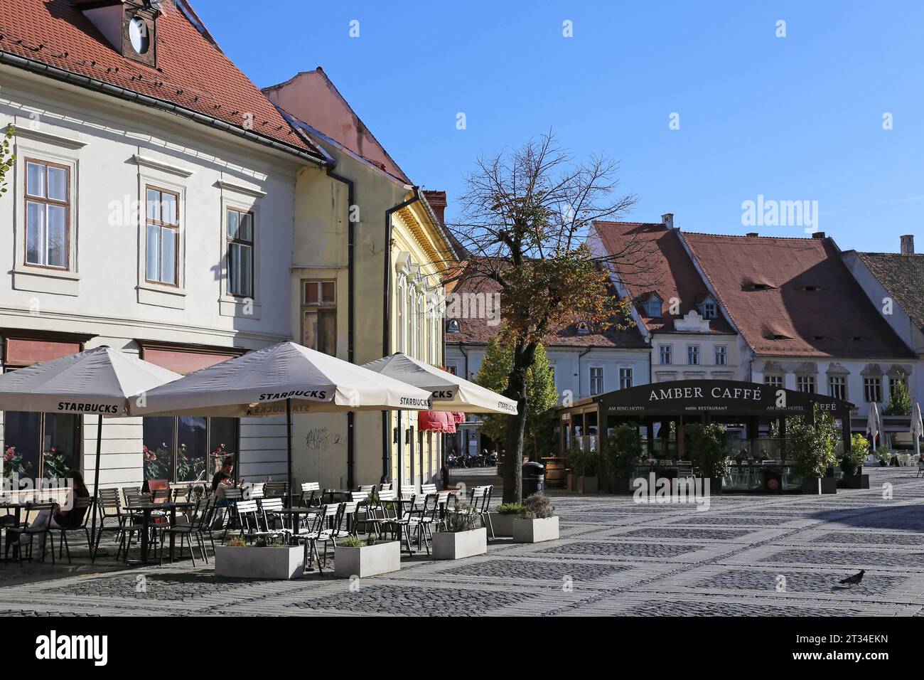 Starbucks Coffee and Amber Caffé, Piața Mare (großer Platz), Sibiu, Sibiu County, Sibiu, Transsilvanien, Rumänien, Europa Stockfoto