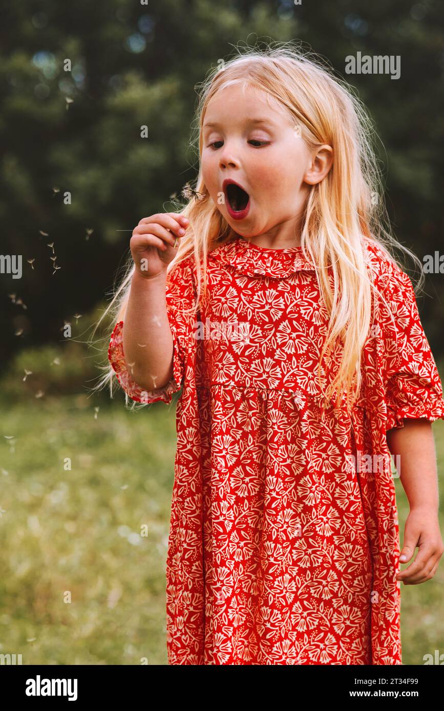 Lustiges Kind Mädchen bläst Löwenzahn im Freien, Familienleben 4 Jahre altes Kind, das im Garten Sommerferien spielt Stockfoto
