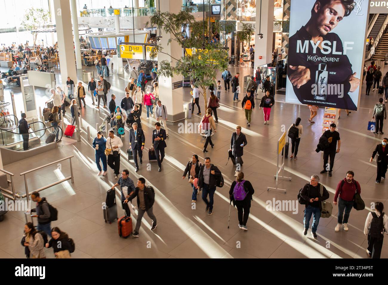 Amsterdam, Niederlande - 22. Oktober 2023: Menschen am Flughafen Amsterdam Schiphol. Stockfoto