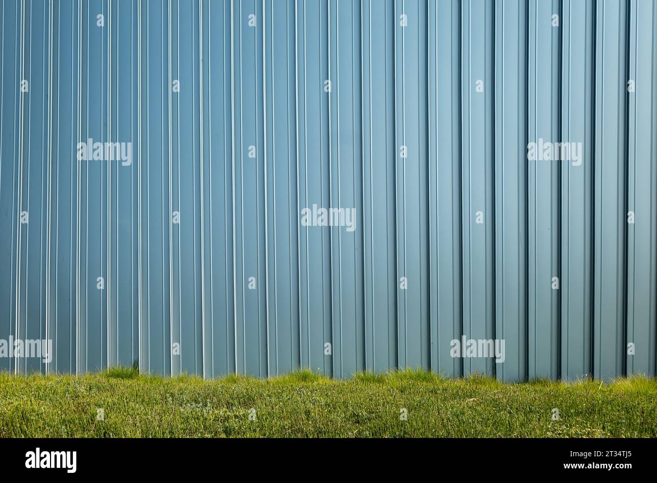 Stehnaht galvanisierte Blechwand. Grün im Vordergrund Stockfoto