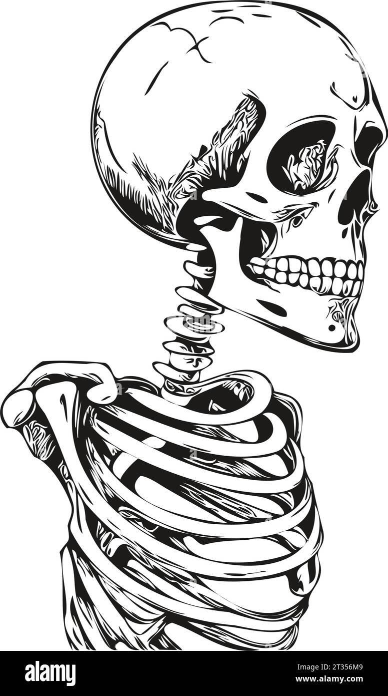 Phantom Vector Bones in the Dark, isoliertes Bild auf einer transparenten Ebene, kann als Gravur-Tintenskizze, Tattoo oder T-Shirt-Druck verwendet werden Stock Vektor