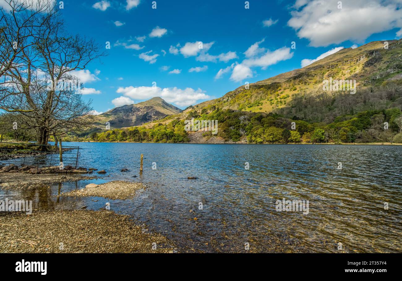 Llyn Gwynant, Landschaft, Snowdonia, Wales, Großbritannien Stockfoto