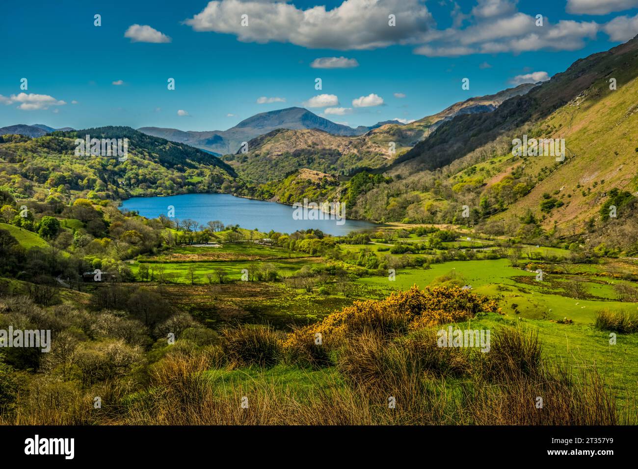 Llyn Gwynant, Landschaft, Snowdonia, Wales, Großbritannien Stockfoto