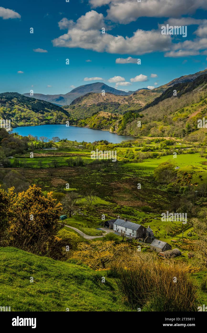 Llyn Gwynant, Landschaft, Snowdonia, Wales, Großbritannien Stockfoto